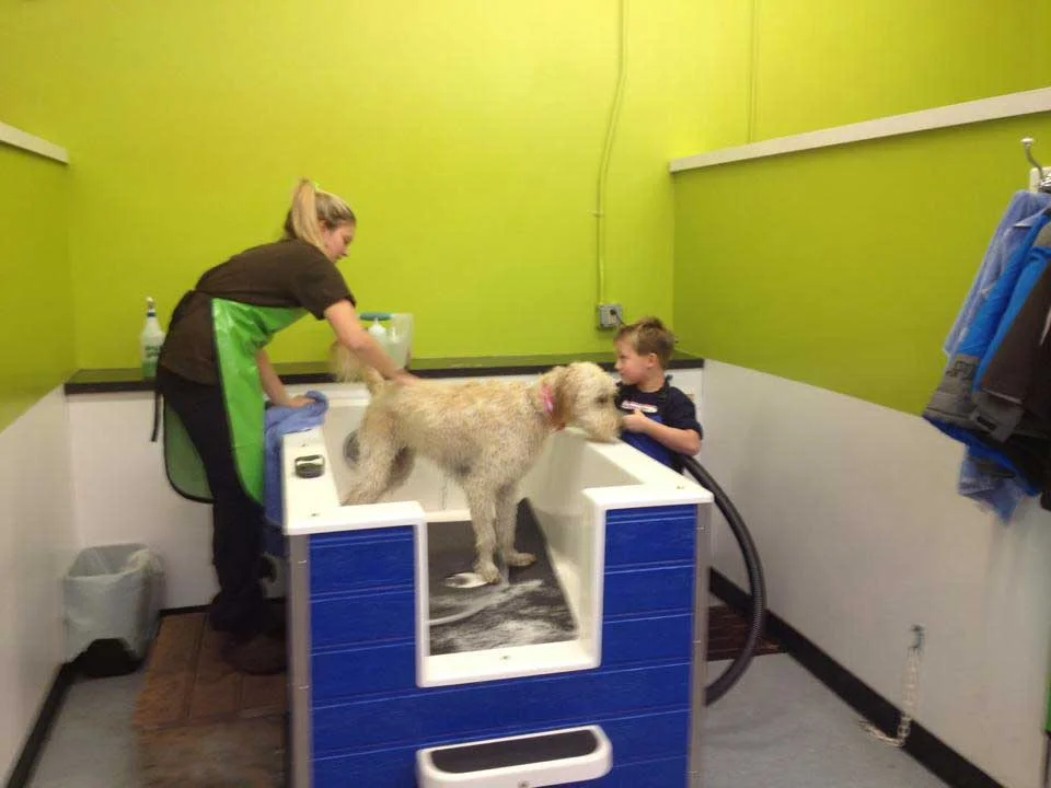 South Fargo's Fur Grooming Destination: Shaggy’s Dog Wash & Grooming pampers your pet.