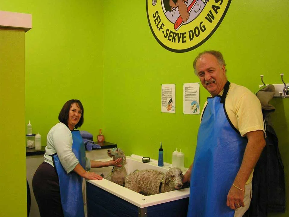 South Fargo's Premium Pet Care: Shaggy’s Dog Wash & Grooming - Tailored to perfection.